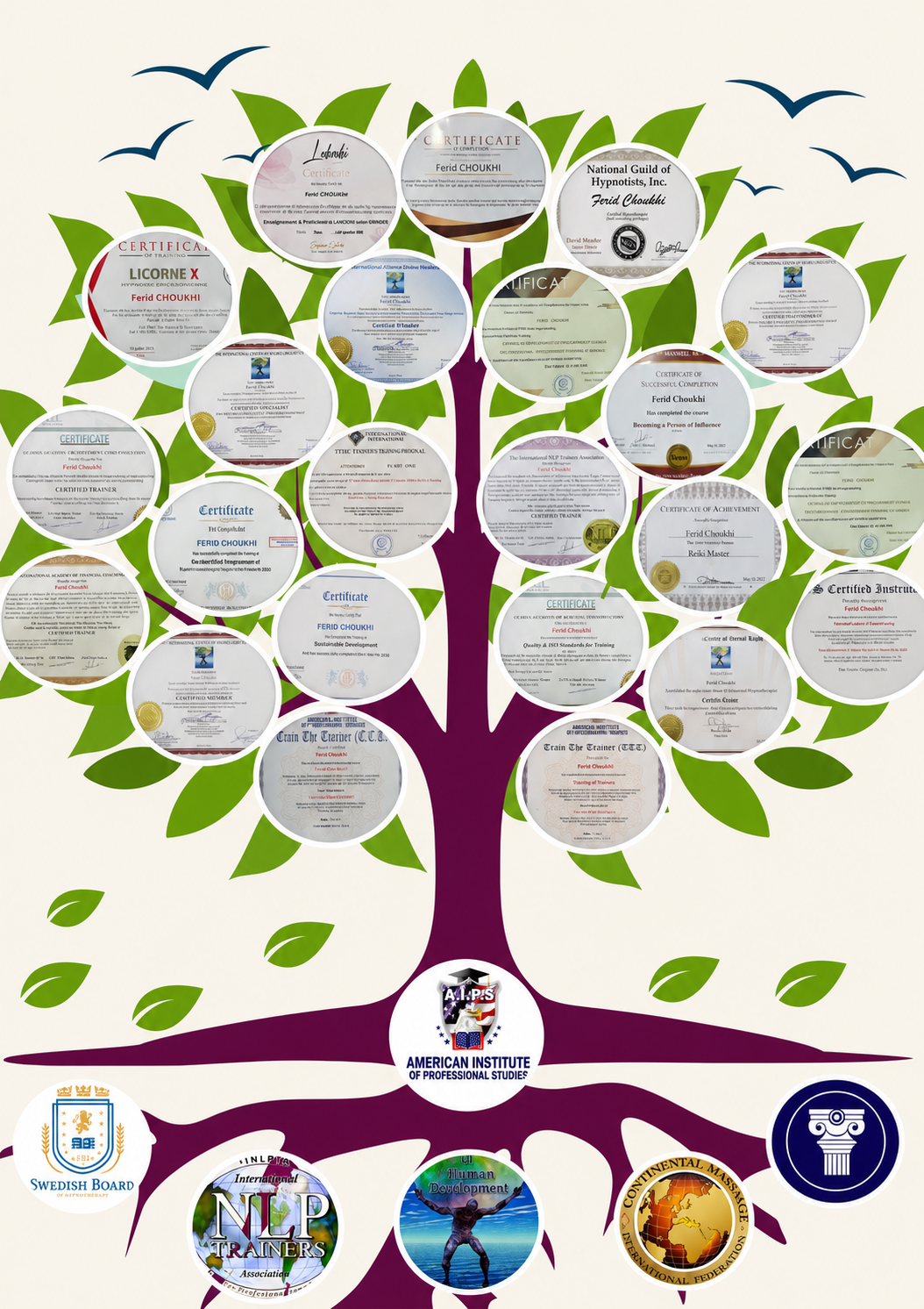 Arbre des partenaires FC Consulting